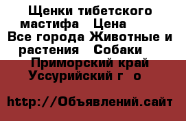 Щенки тибетского мастифа › Цена ­ 80 - Все города Животные и растения » Собаки   . Приморский край,Уссурийский г. о. 